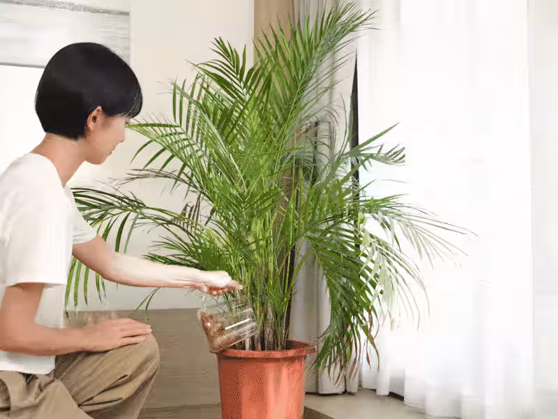 画像26