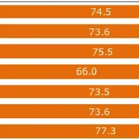 若者の防犯意識調査