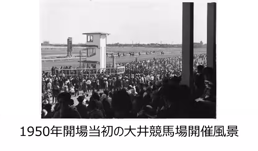 画像10