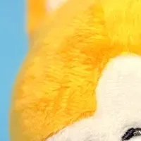 渋谷でだいちゃんイベント