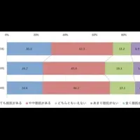ダークパターンの影響