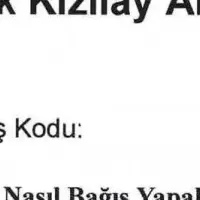 トルコ地震支援