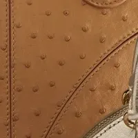 ブルガリの新作コレクション