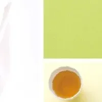 ニャンコ先生新作登場