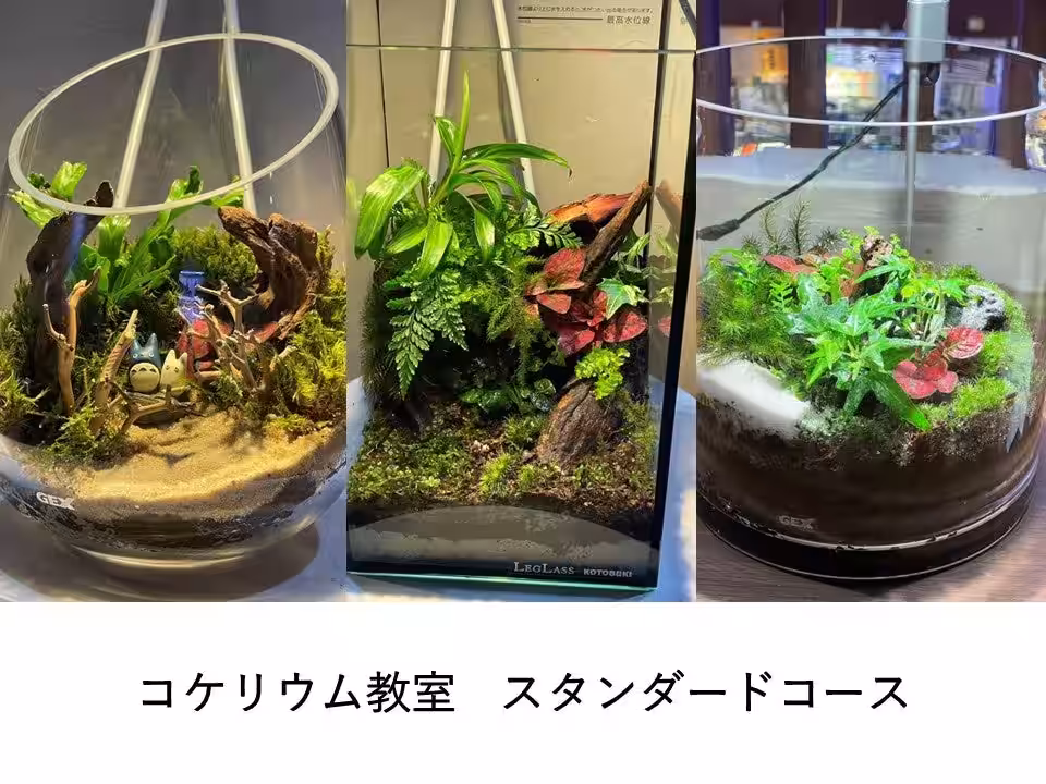 画像10