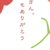 美ギフトが人気急上昇