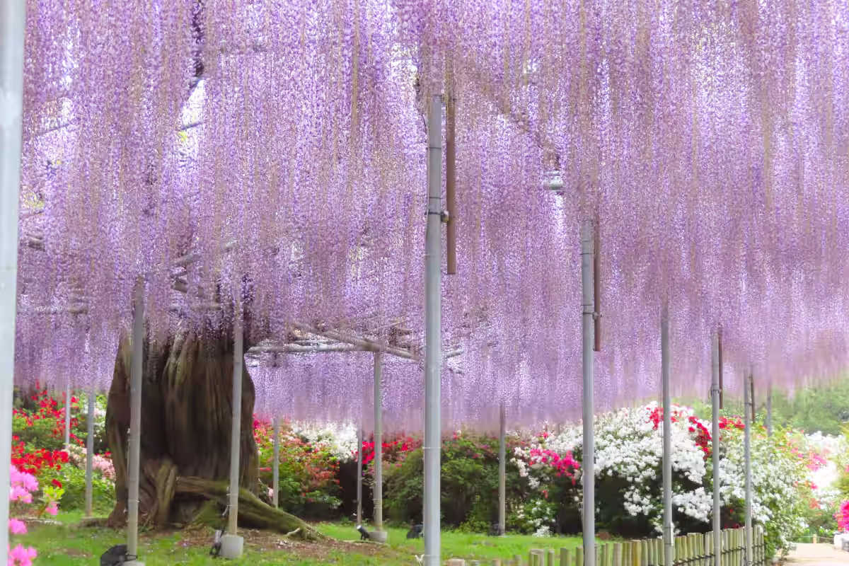 画像10