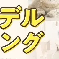 猫カフェMOCHAオーディション