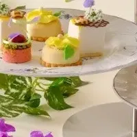 春のアフタヌーン
