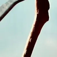 爪を守るキーリング