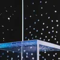 Kewaiの春コレクション