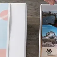 金沢金魚ギフトバコ