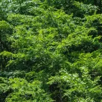 自然環境保全の新展開