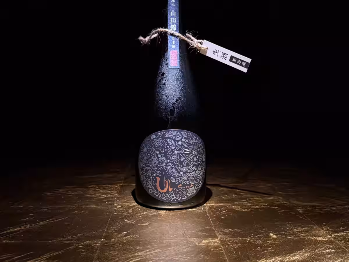 画像14