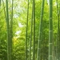助成金申請サポート