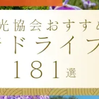 GWのドライブデート