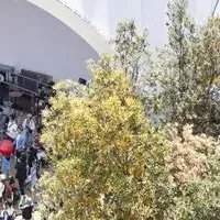『ブルーイ』が大阪万博に！
