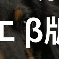 ペトコエが始動