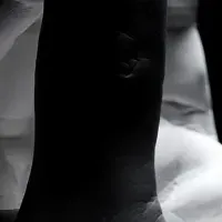 音楽を香りで感じる！