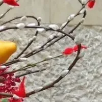 増田文彦氏就任