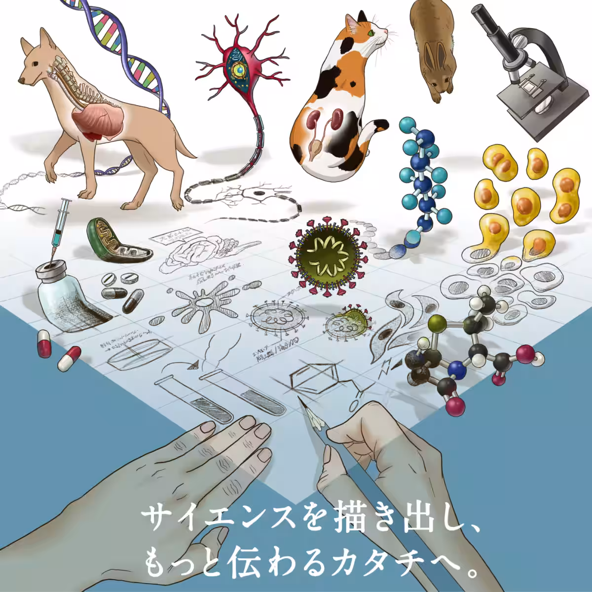 画像4