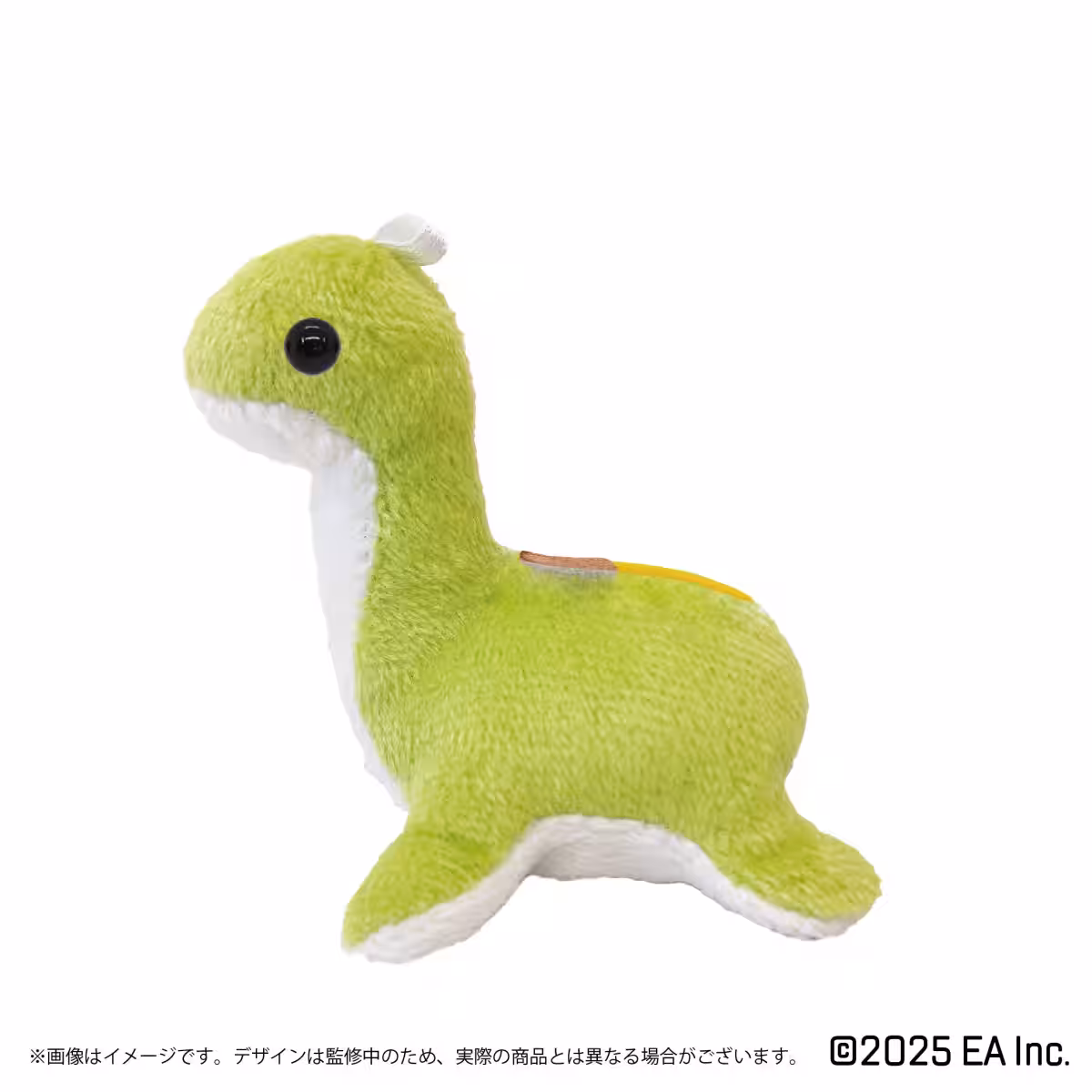 画像7