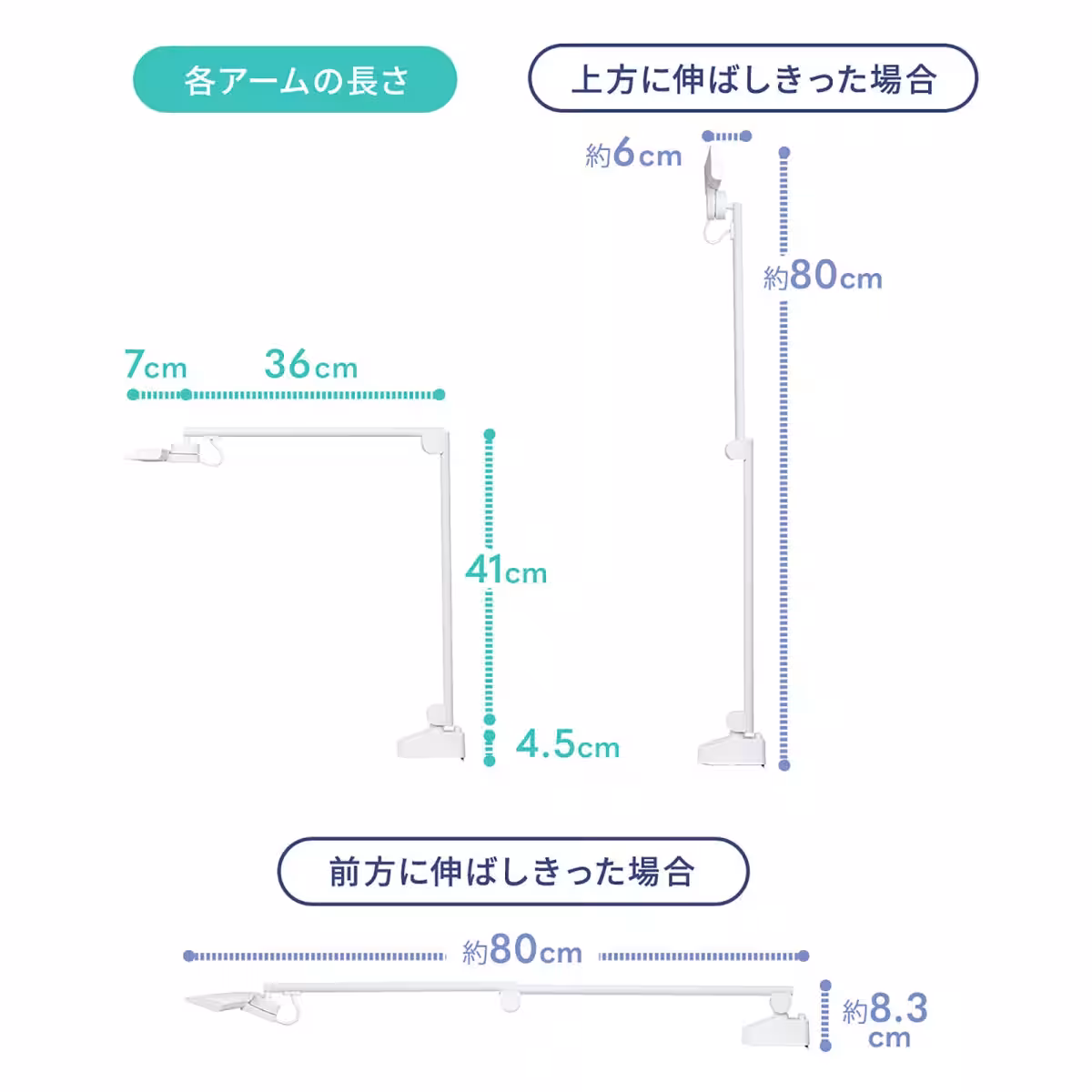 画像12