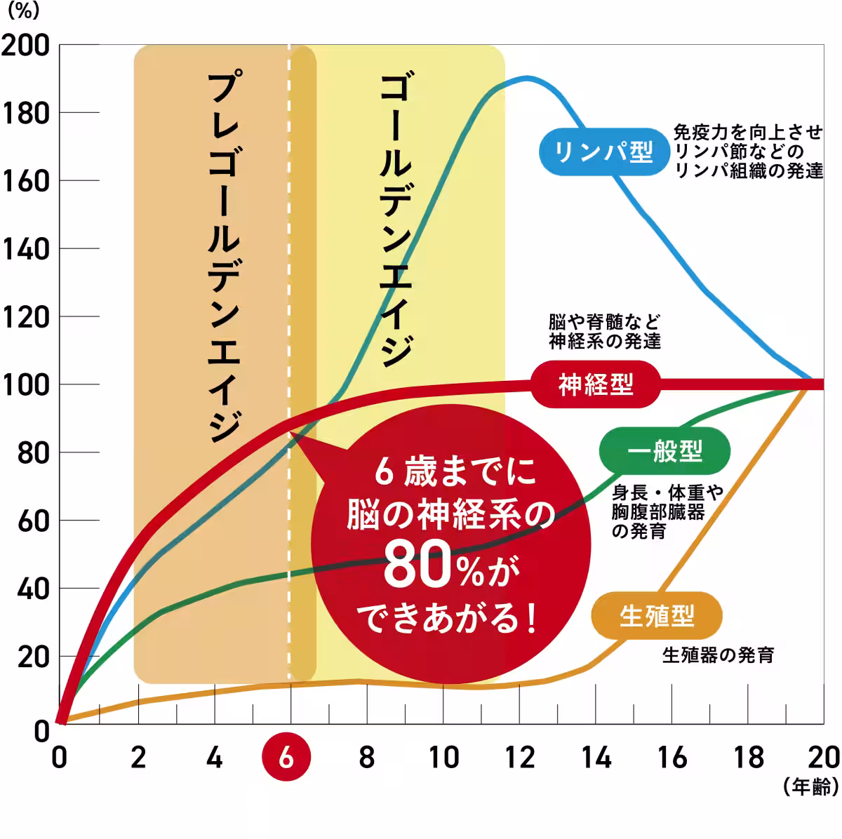 画像13