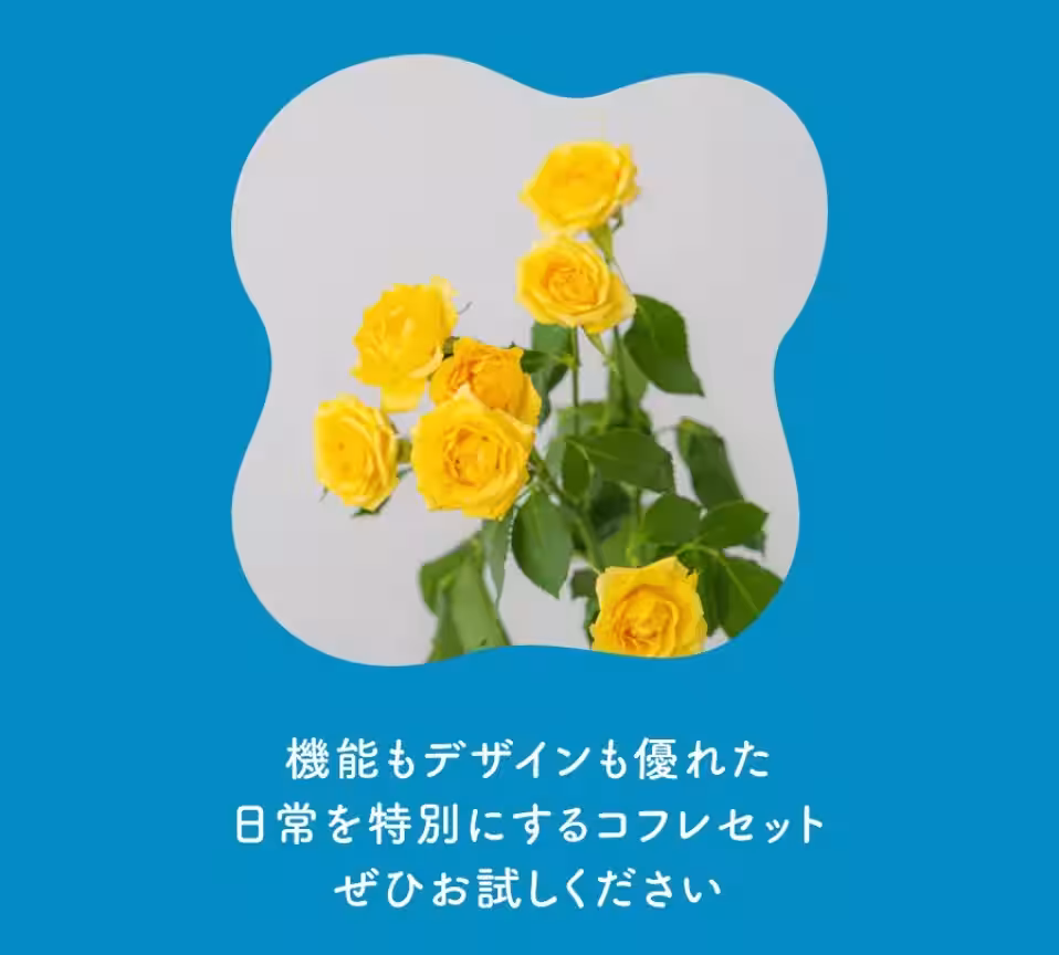 画像12