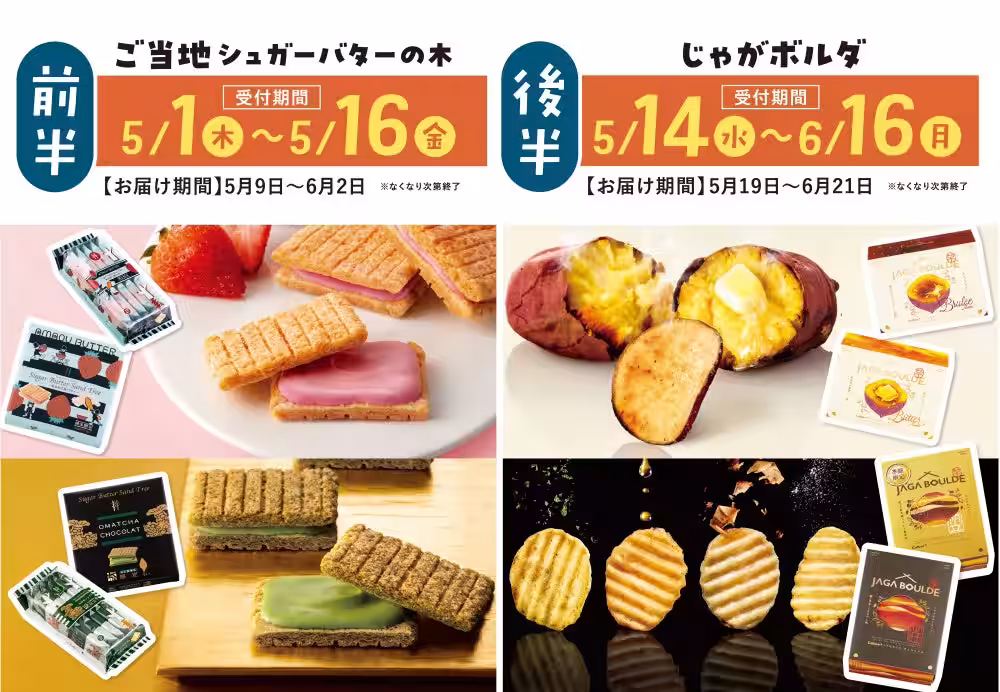 画像11