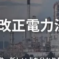 ベトナム電力法レポート