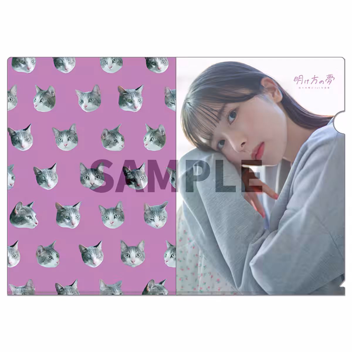 画像8