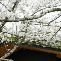 天郷醸造所誕生