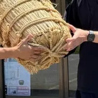 特別米プラン登場