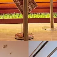 鳥玉の再展開