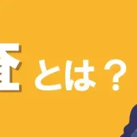 動画回収調査セミナー