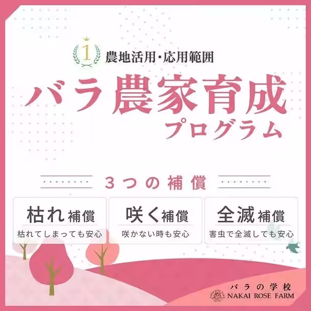 画像14