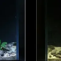 新感覚スマート水槽