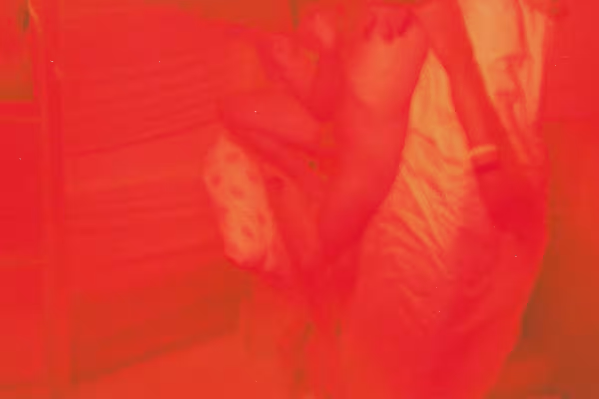 画像9