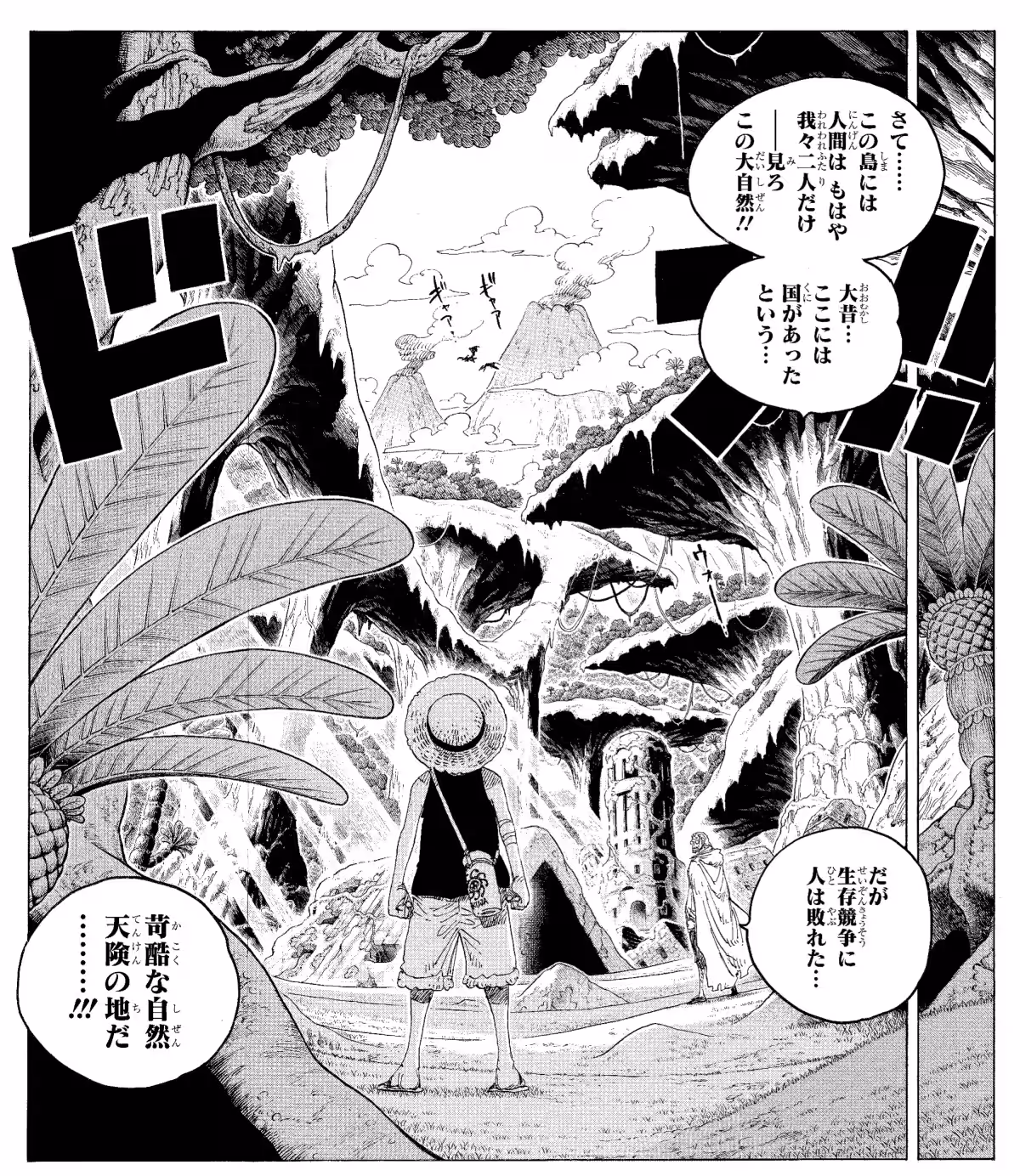 画像11