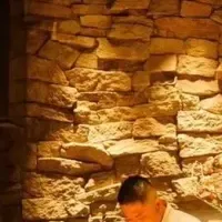 『The Fan』の魅力