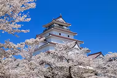 画像7