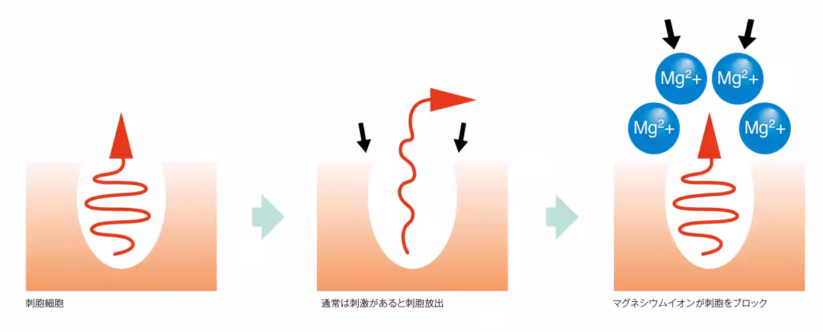 画像11