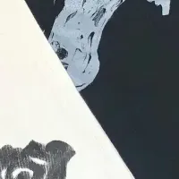 witness個展の魅力