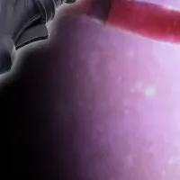 ウルトラレプリカ登場