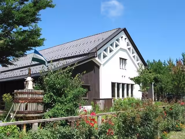 画像11