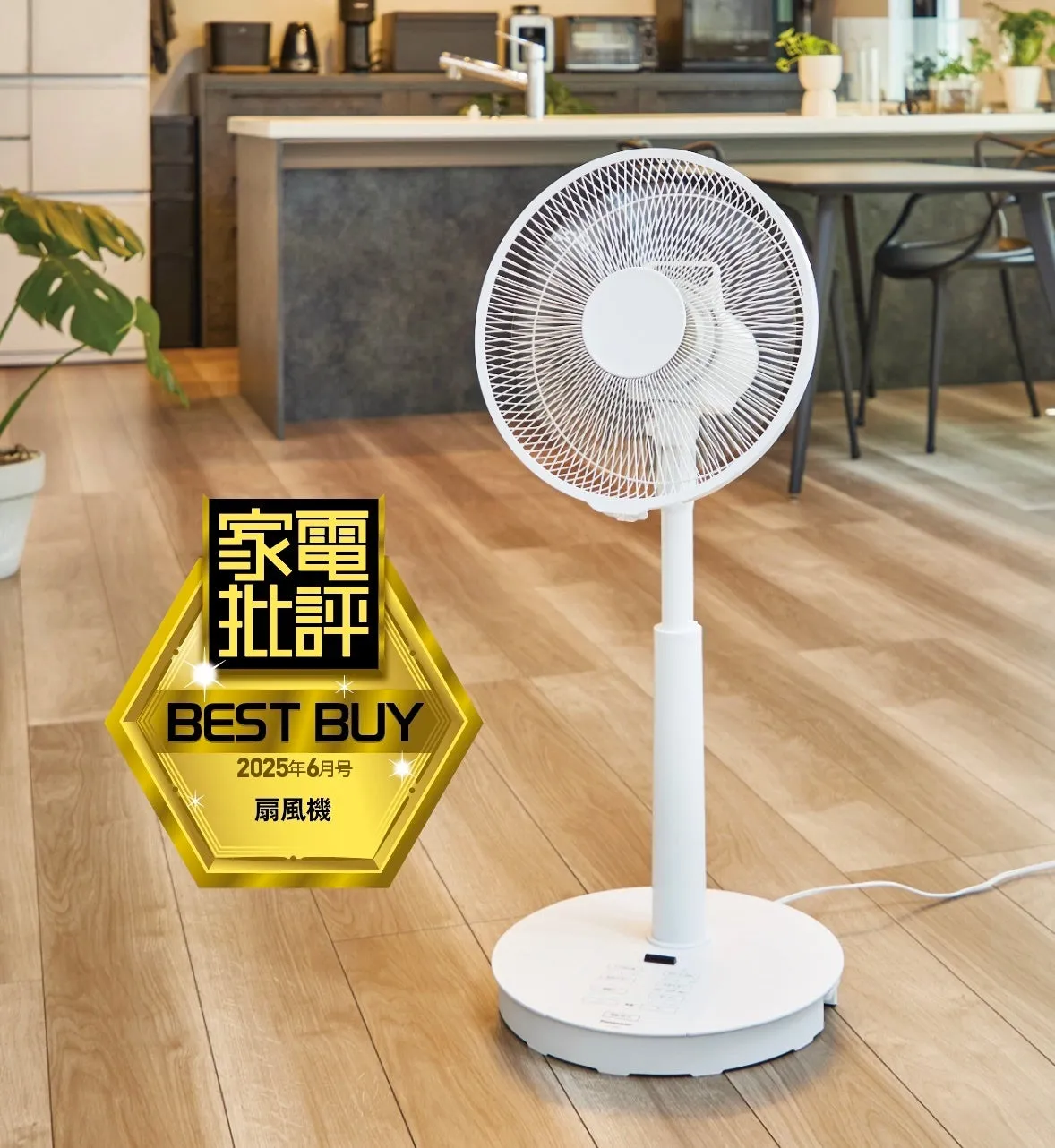 コードレス扇風機 DCタイプ 折りたためるコードレス扇風機 (25cm FD03NG-BK