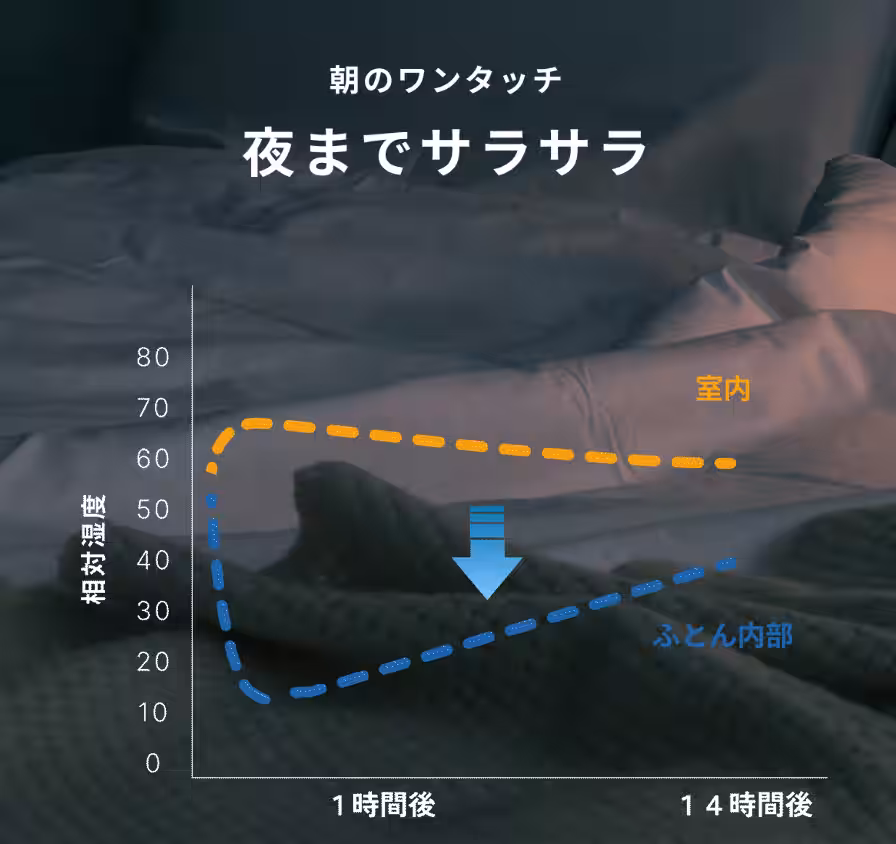 画像11