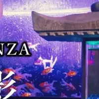 アートアクアリウムイベント