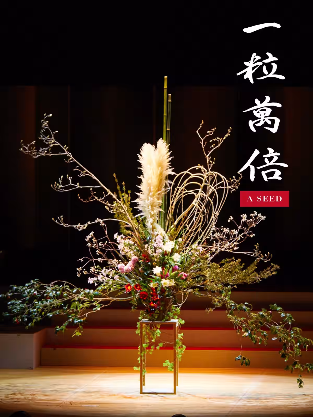 画像19